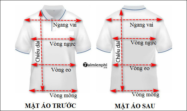 Các thông số cơ bản khi lấy số đo