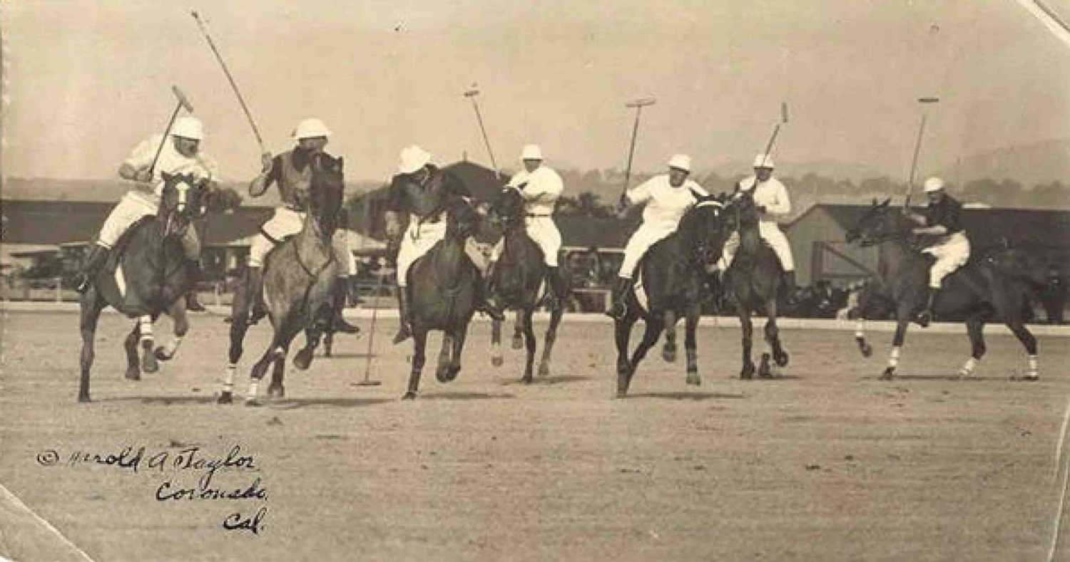 Môn thể thao polo