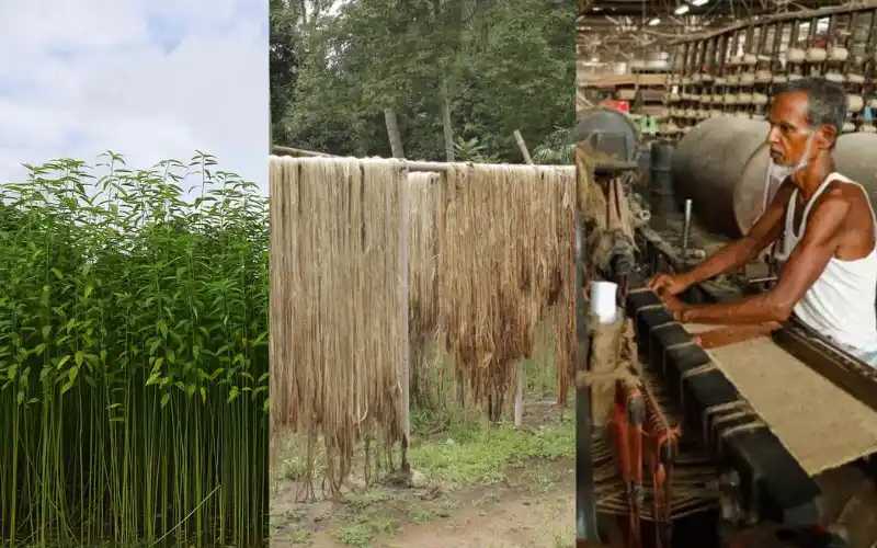 Quy trình sản xuất