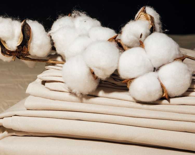 Cotton 100% được dệt hoàn toàn từ sợi bông tự nhiên