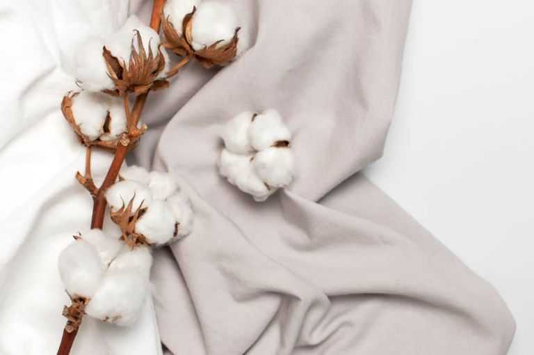 Vải Cotton hữu cơ